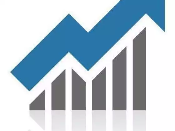 The Role of the CFO