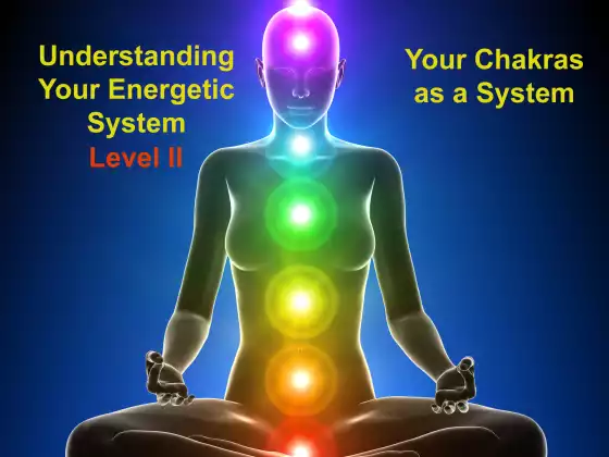 Understanding Your Energetic System - The Chakras & Outer Bodies as a system
