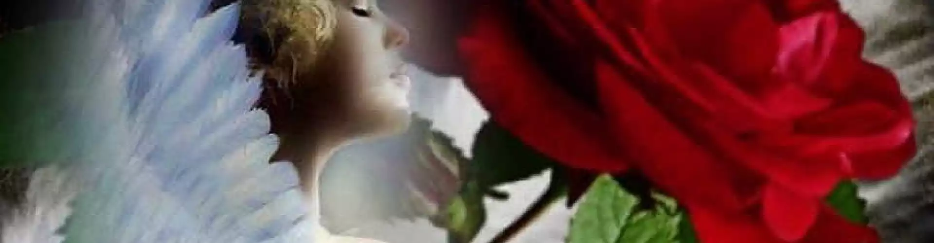 SPIRIT GUIDE 101/1 - Online Class by Barbara Reid