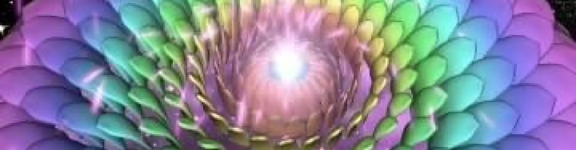 Spirit Guides - Online Class by Barbara Reid