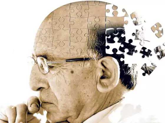 Introduction to Alzheimer's Disease: Ways to reduce risk and potentially delay the onset 