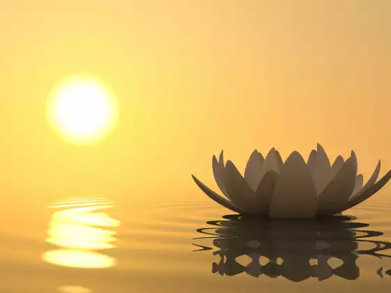 Hermina's 8 Week Spiritual Coaching Course