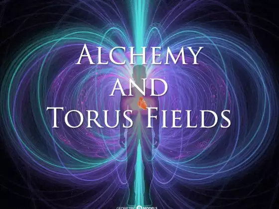 Alchemy  and  Torus Fields with Tufan Guven