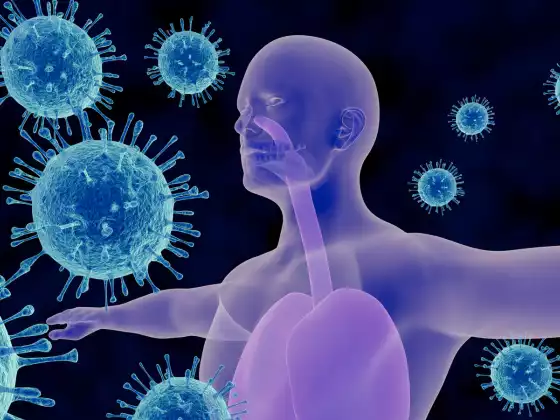 Immune System - Detox and Autophagy