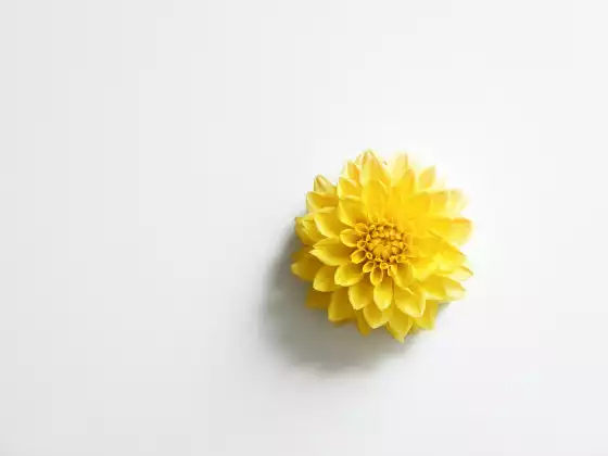 ریکی ماسٹر شپ سوال و جواب