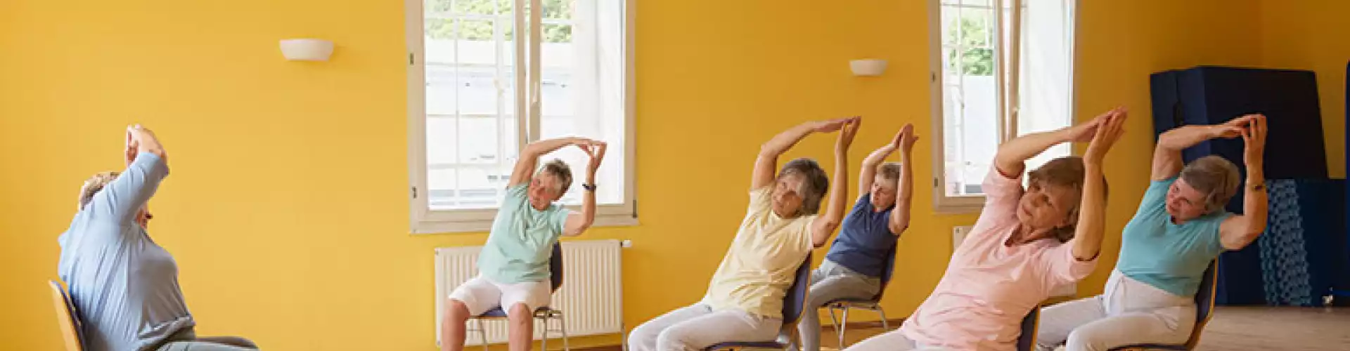 Chair Yoga & Qigong - Sit or Stand!