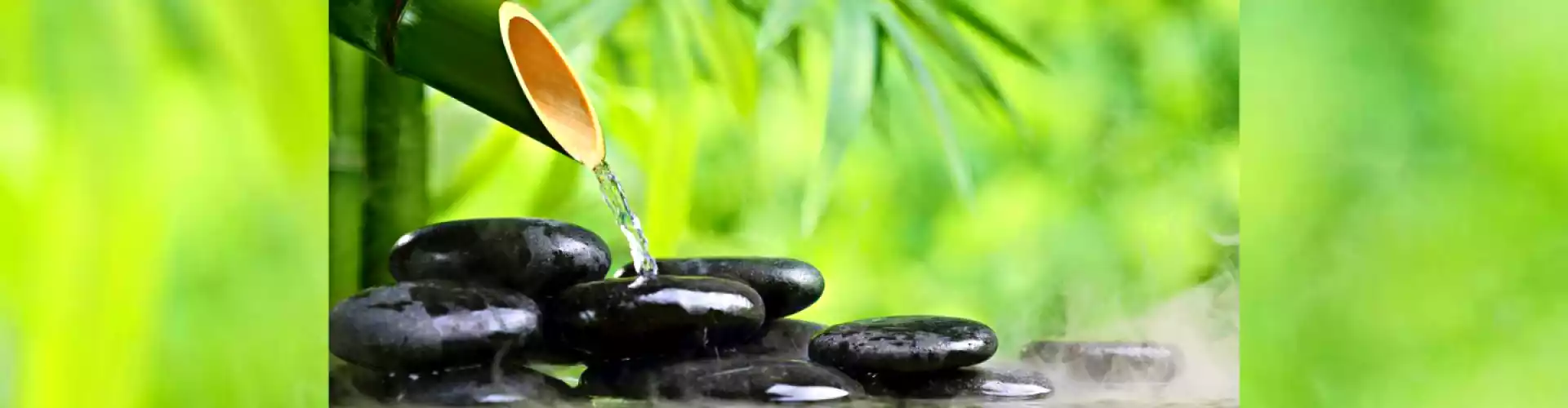 Una introducción al Qigong - Online Class by Cassaundra Paolini