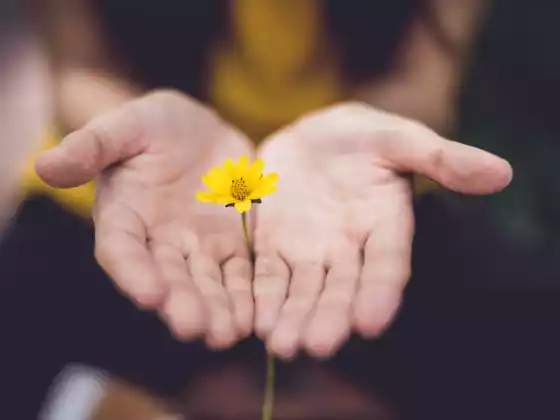 Reiki Level 2 Q&A