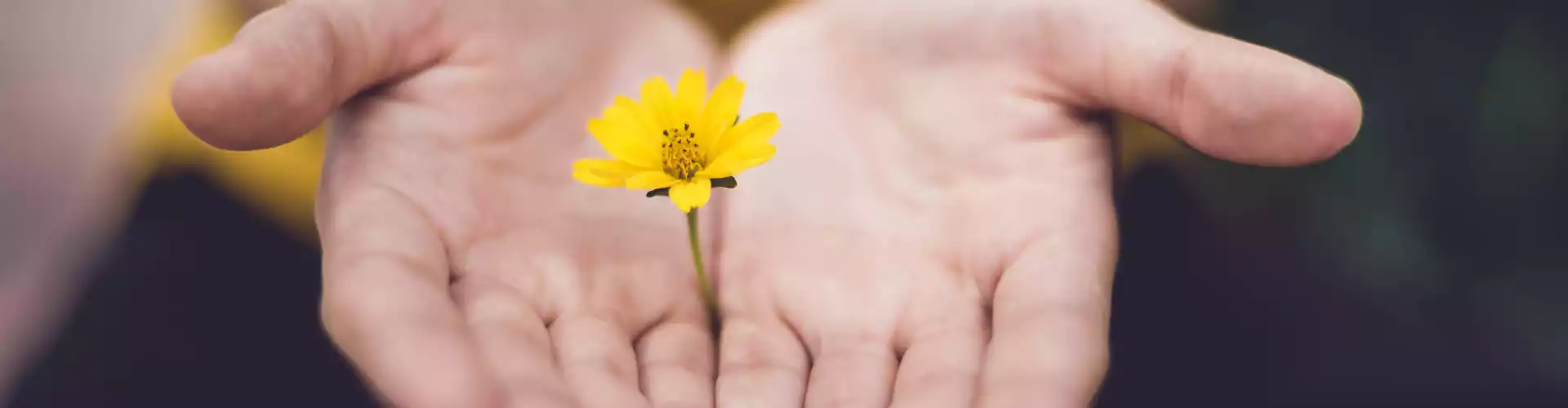 Fragen und Antworten zu Reiki Level 2 - Online Class by Jamie Butler