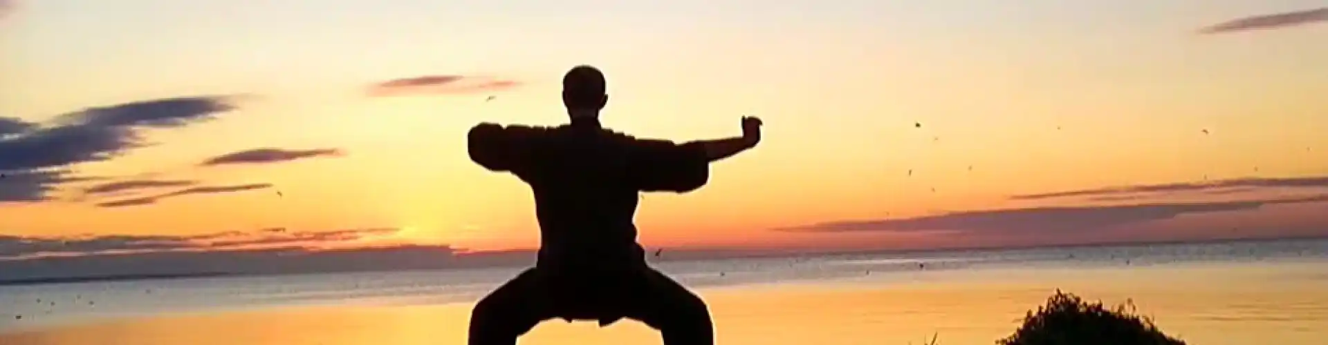 1 hora de Qigong con 8 brocados de seda - Online Class by Cassaundra Paolini