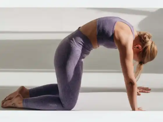Yoga chăm sóc lưng