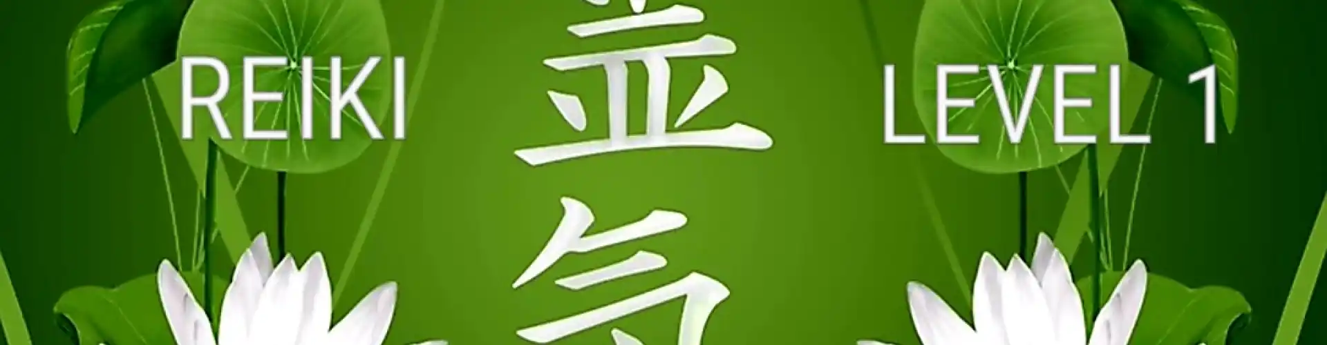 Reiki Stufe Eins - Online Class by Cassaundra Paolini
