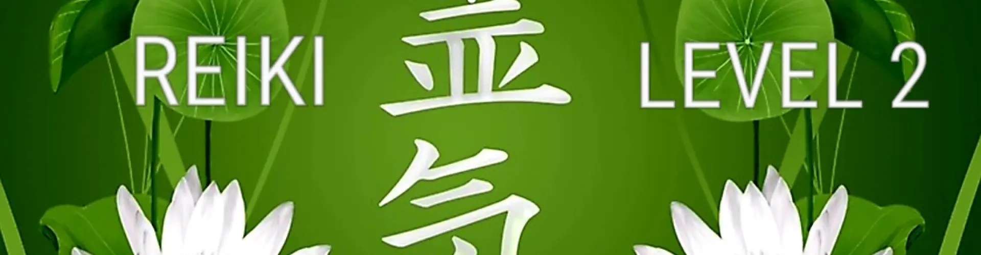 Reiki Level 2 - Online Class by Cassaundra Paolini