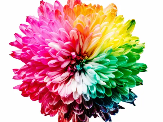 আমাদের চক্রগুলির জন্য শক্তি নিরাময়