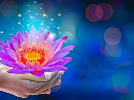রেইকি লেভেল ৩ মাস্টার উইকেন্ড
