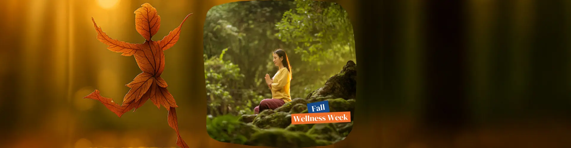 Az ősz ölelése: Őszi napéjegyenlőség Reiki Meditáció - Online Class by Jerry Mikutis