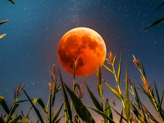 Meditasi Gerhana Matahari Bulan Penuh 